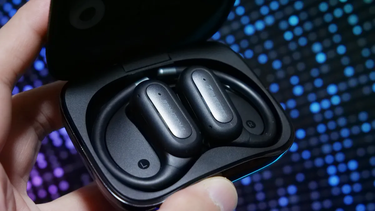 TRUEFREE EarFit DS1 ケースに収納した状態