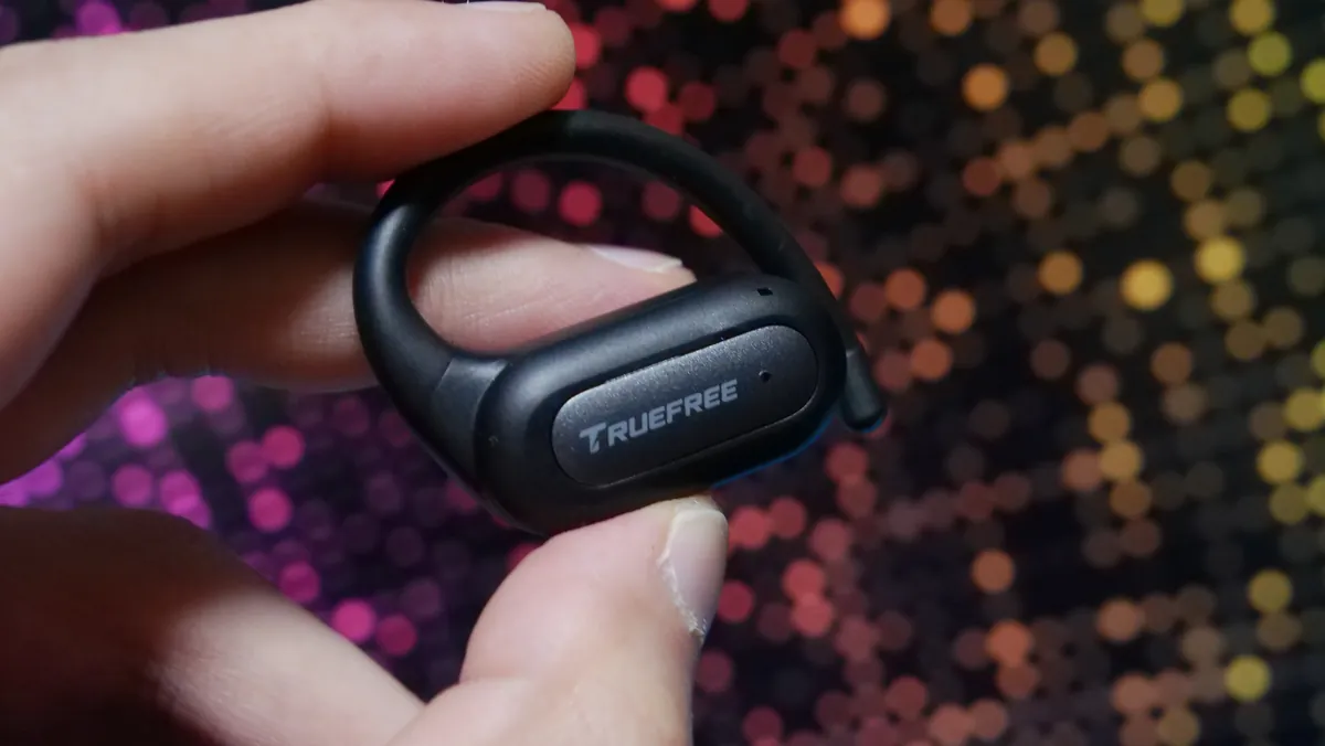 TRUEFREE EarFit DS1 イヤホン本体