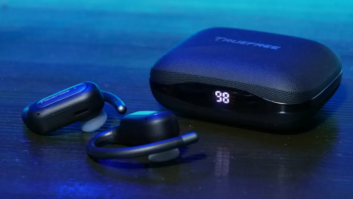 TRUEFREE EarFit DS1 レビュー