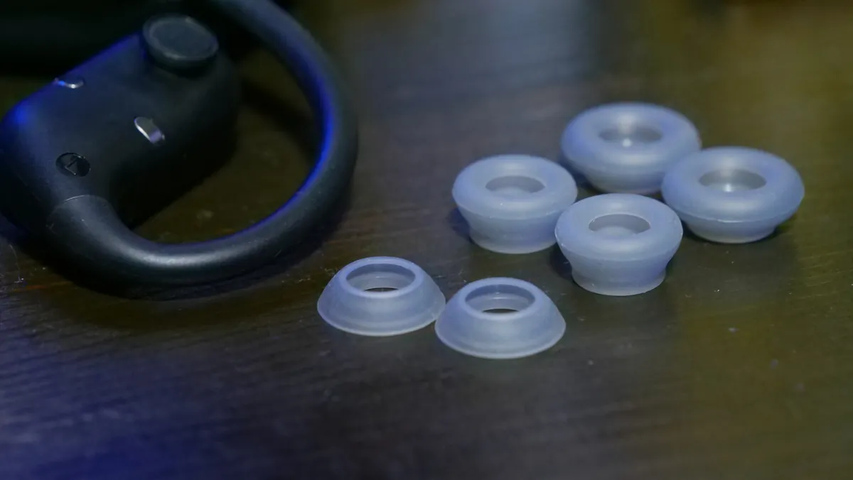 TRUEFREE EarFit DS1 付属のイヤーチップ